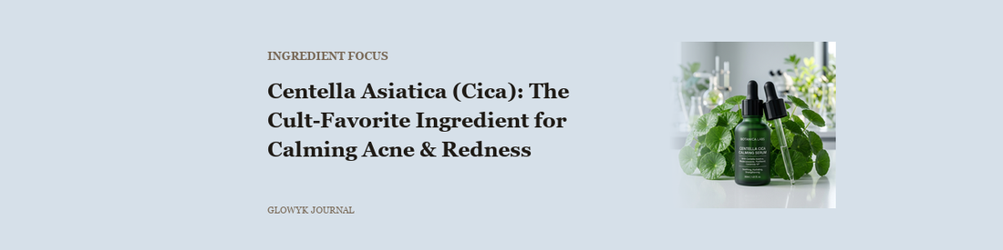 Centella Asiatica (Cica): The Cult-Favorite Ingredient for Calming Acne & Redness