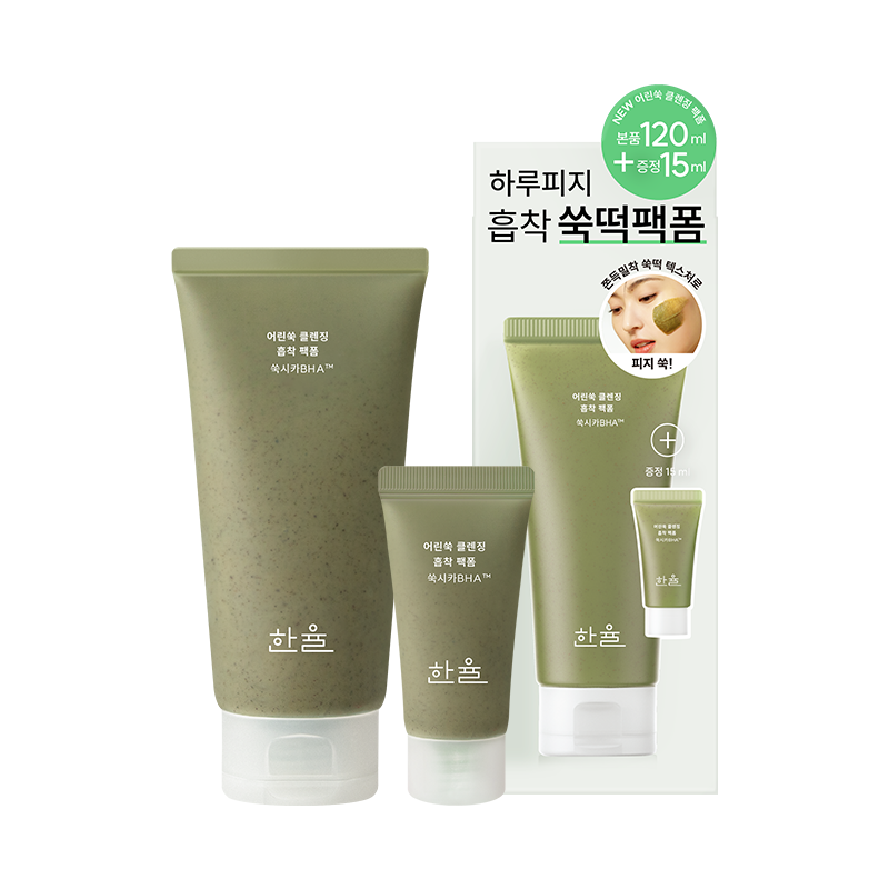 [Hanyul] Artemisia Cleansing Absorption Pack Foam Special Set 120ml