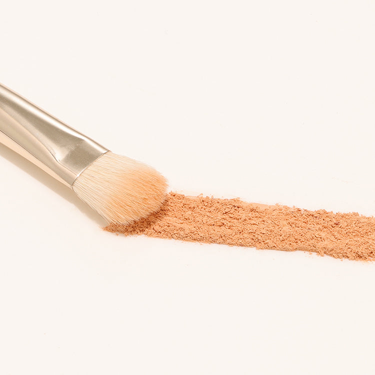 [The Tool Lab] The Tool Lab 202 All Over Eyeshadow Medium Brush