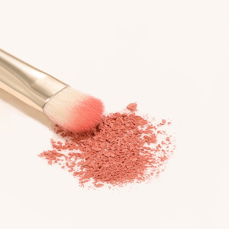 [The Tool Lab] The Tool Lab 203 Point Eyeshadow Brush Makeup Eye Shadow Brush