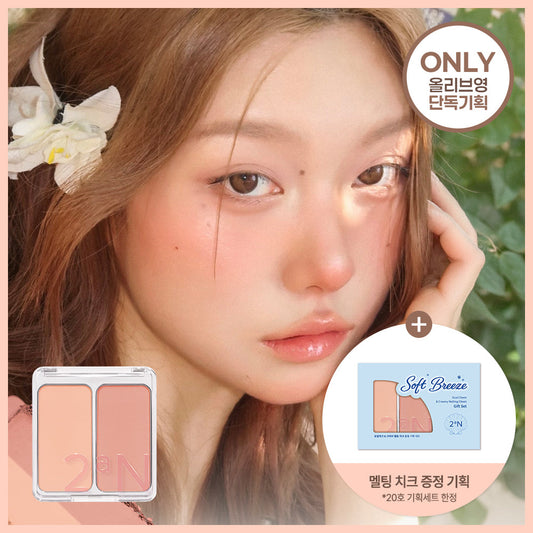 [2aN] 2AN Dual Cheek 20 colors (plan/single item)