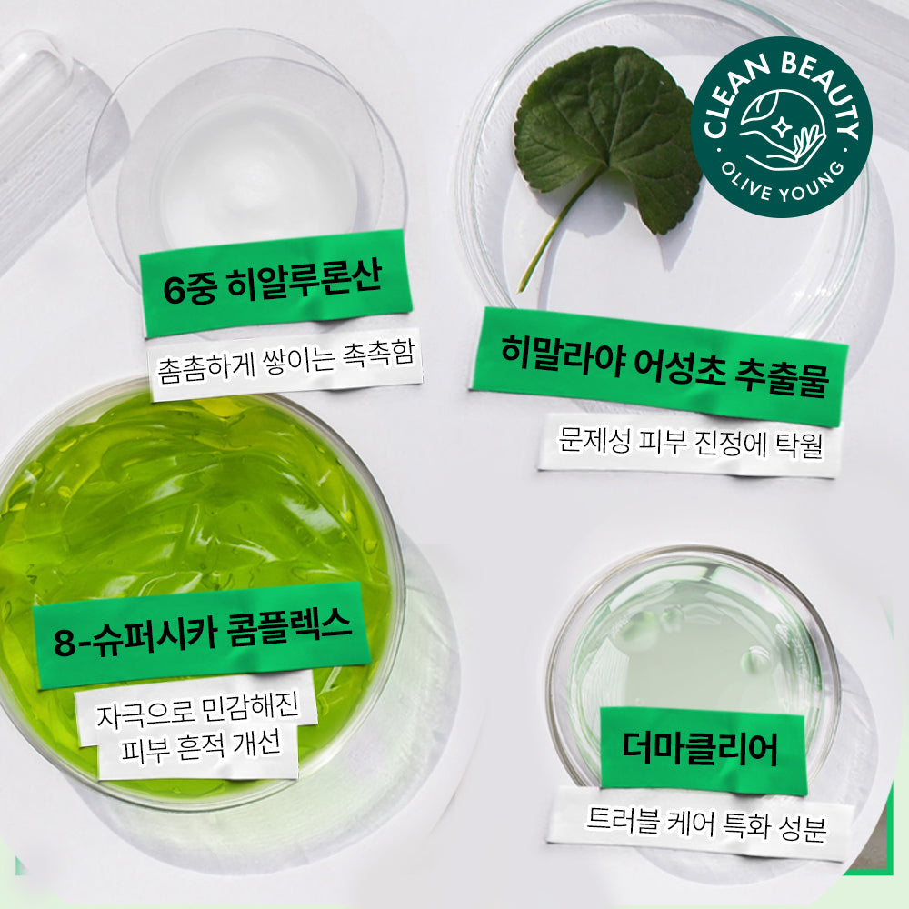 [Efilow] Epilow Heartleaf madecassoside trouble soothing pads 100 sheets