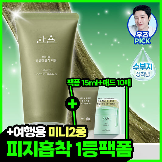[hanyul] Hanyul Sebum Absorbing Mugwort Rice Cake Pack Foam 120ml Special Set
