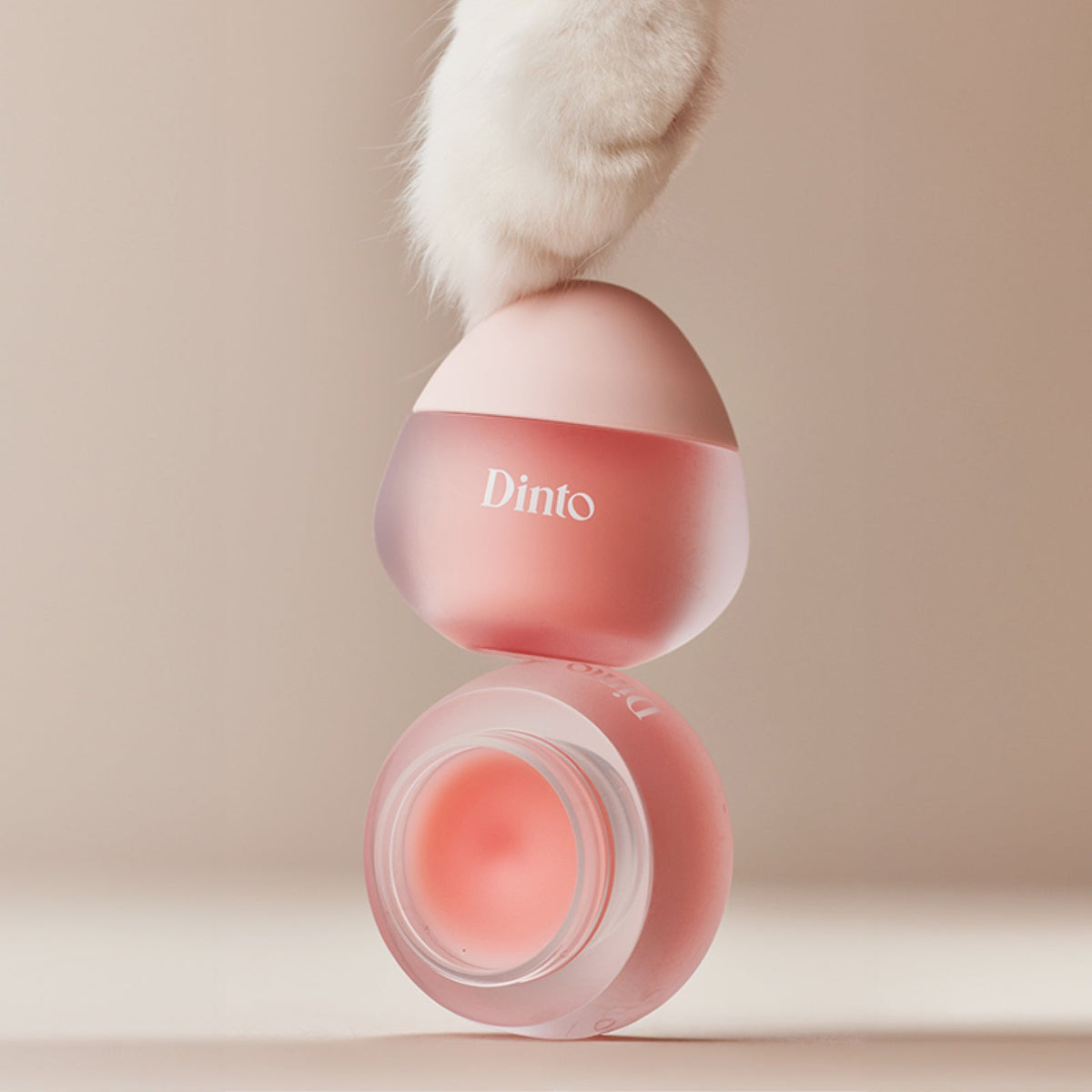 [Dinto] Dinto Popo Lip Mask (5 types)