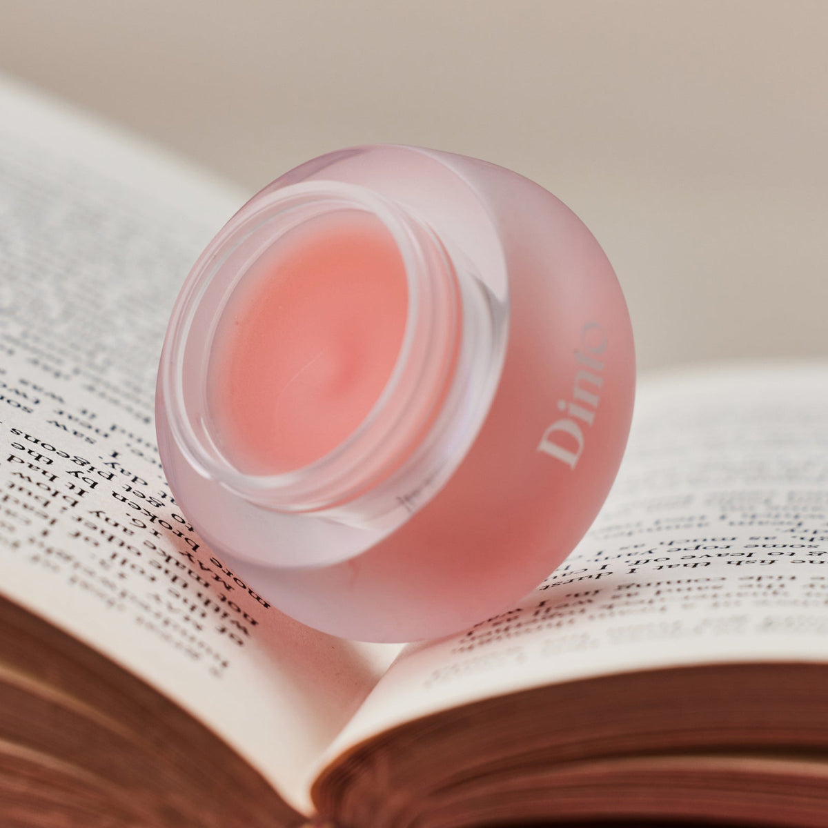 [Dinto] Dinto Popo Lip Mask (5 types)