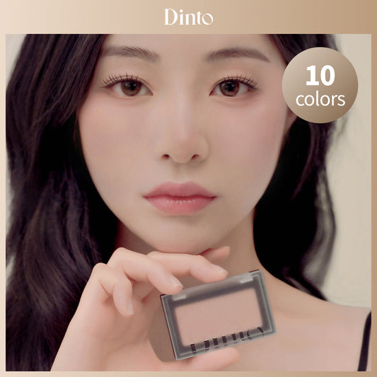 [Dinto] Dinto Blur Finish All That Moments Blusher 10 types