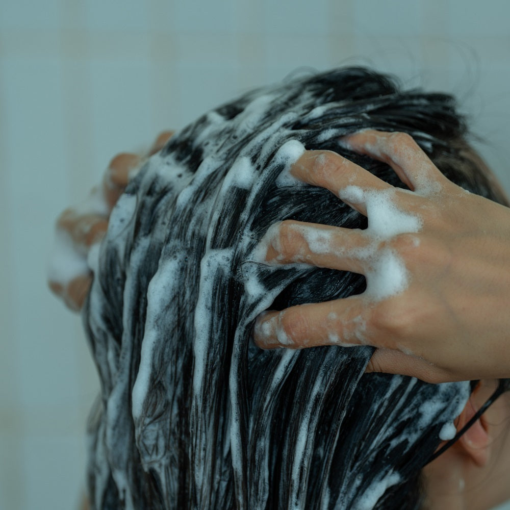[MINTREE] Mintree Scalp Shampoo 500ml