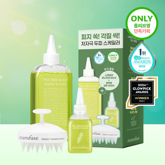 [Steambase] Steam Base Tea Tree Scalp Water Scaler 250ml special set (+50ml+brush provided)