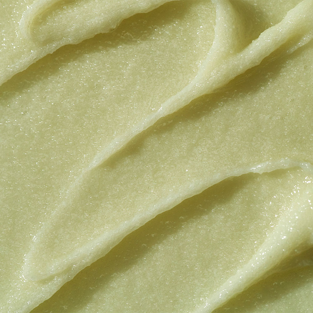 [Whipped] Whipped Vegan Face Scrub 210g (Choose 1 out of 3 types)