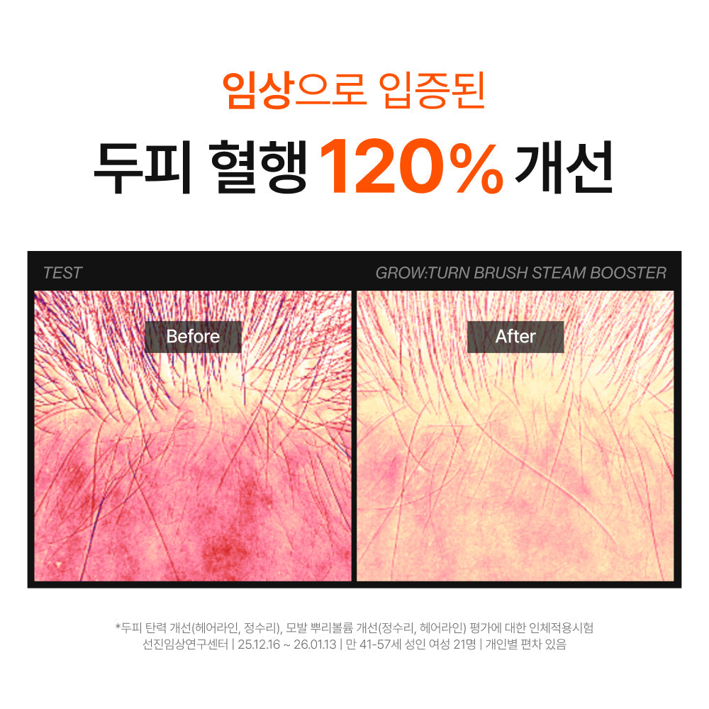 [Lilyeve] Growton Brush Steam Booster