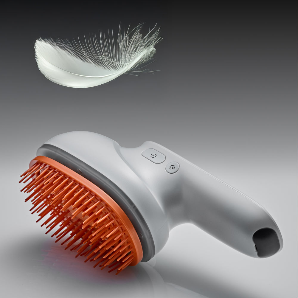 [Lilyeve] Growton Brush Steam Booster