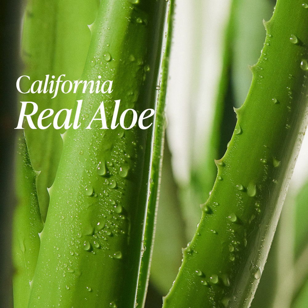 [Nature Republic] Real Squeeze Aloe Vera Essence